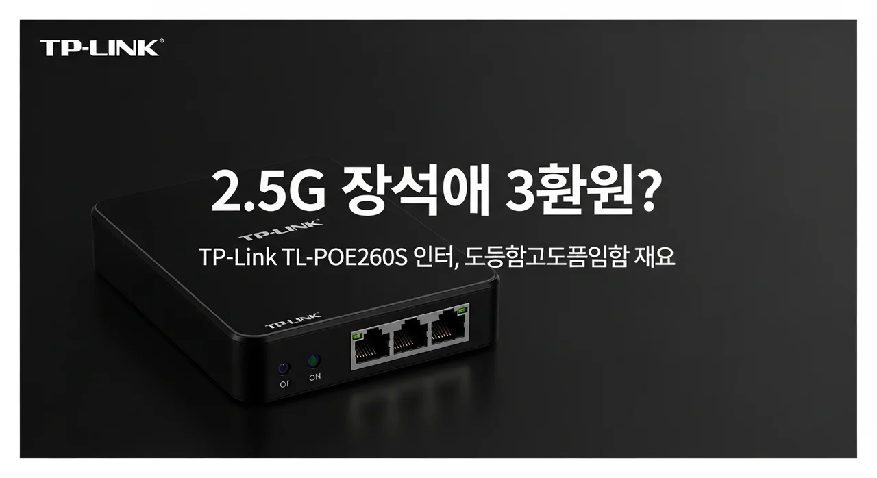2.5G 속도를 3만원대에? 티피링크 TL-POE260S 인젝터, 가성비 끝판왕인 이유