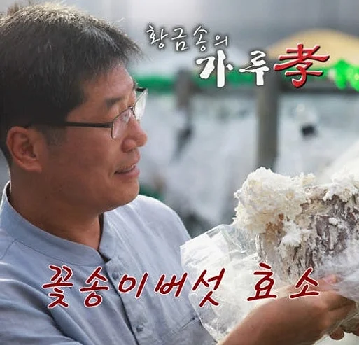 경신바이오 발효 꽃송이버섯 효소 꽃송이 현미 영양제 천 스틱형 405g [원산지:국산] 상세 이미지 5