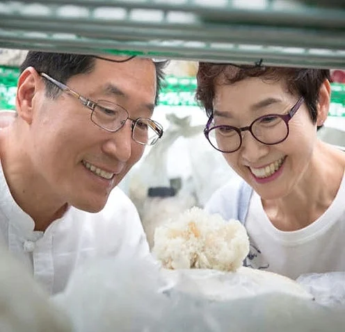 경신바이오 발효 꽃송이버섯 효소 꽃송이 현미 영양제 천 스틱형 405g [원산지:국산] 상세 이미지 8