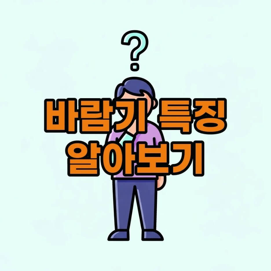 바람기